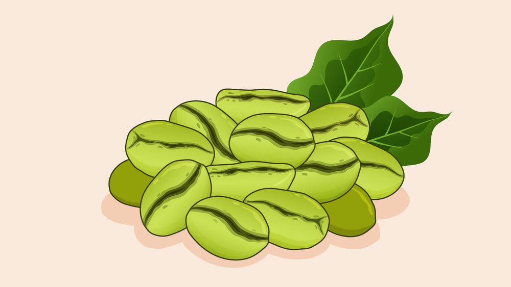a pile of green coffee beans with fresh leaves