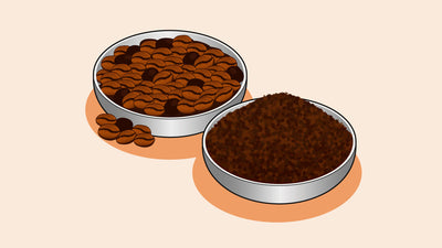 Grounds for Innovation: 6 Creative Uses for Coffee Grounds
