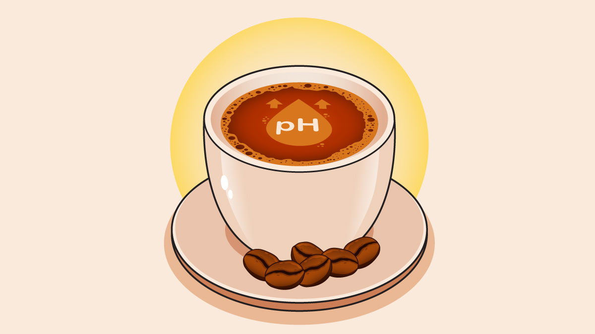 bills coffee glutathione Bills Blend – YO1 Coffee Co