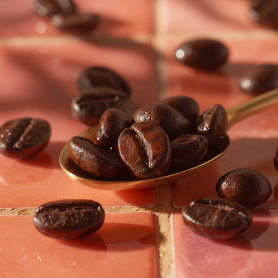 HaNoi Coffee (100% Robusta)