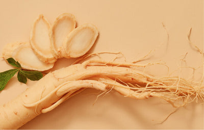 Korean Red Ginseng