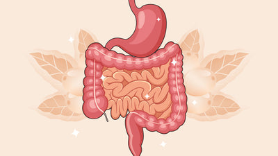 Healthy Gut, Happy Life: 10 Natural Gut Health Remedies