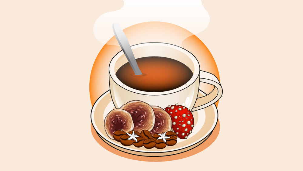 A hot cup of mushroom coffee with dried mushroom surrounding it.