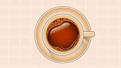 Best Coffee for Ulcers: Gentle Brews for Sensitive Stomachs