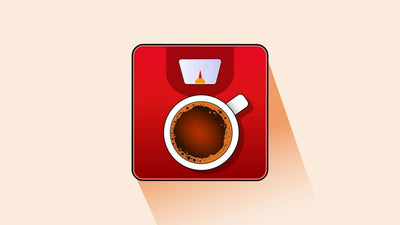 Best Coffees to Support Your Weight Loss Journey