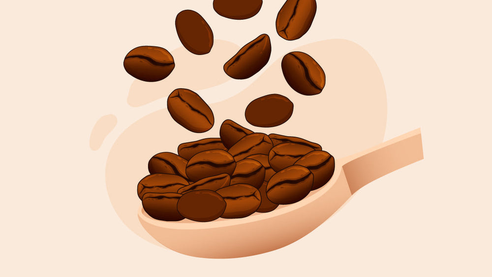 Roasted coffee beans falling into a wooden spoon, illustrating fresh and aromatic coffee ingredients