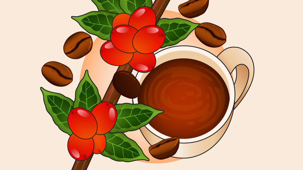 Coffee cup with coffee cherries, green leaves, and roasted beans around it