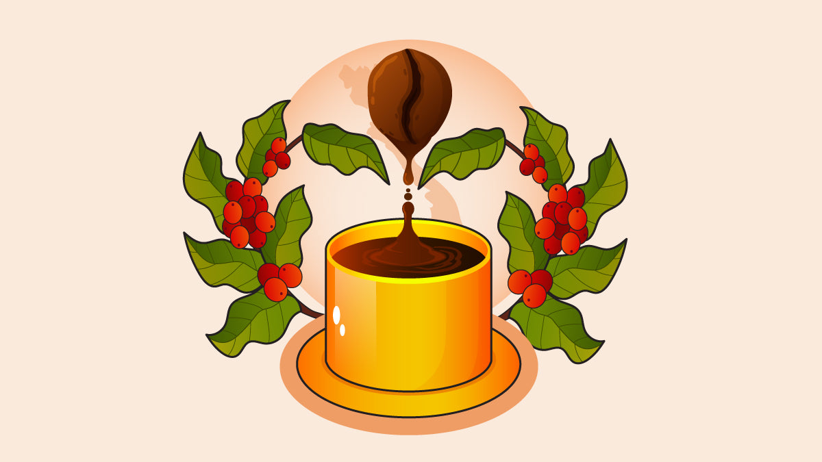 An illustration depicting the transformation of a coffee bean into a stream of coffee, cascading into a cup positioned directly underneath.