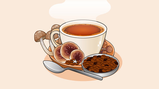 Freshly brewed mushroom coffee with improved taste with dried mushrooms and coffee beans next to it.