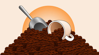 How Long Are Coffee Beans Good For? (And How to Tell When They’ve Gone Bad)