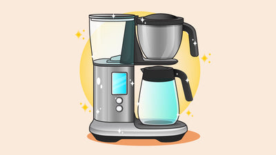 How to Clean And Descale A Coffee Maker