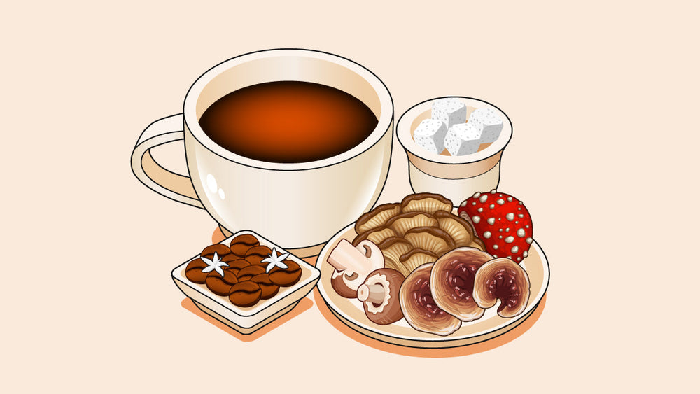 How to Make Mushroom Coffee Without Coffee: A Bold Recipe 7 How to Make Mushroom Coffee Without Coffee: A Bold Recipe