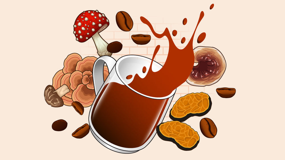 Mushroom coffee splash with coffee beans and a variety of mushrooms like reishi, lion's mane, and amanita muscaria