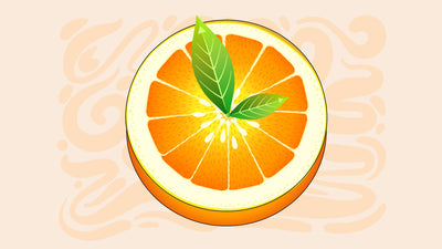 The Intermittent Fasting Starter’s Guide: Your Shortcut to Smarter Eating