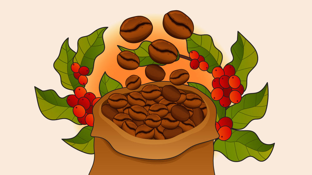 Different types of Vietnamese coffee beans in a pouch.