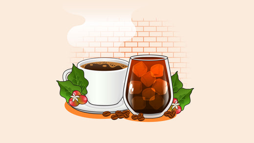 Hot coffee and iced coffee with coffee plant leaves and berries