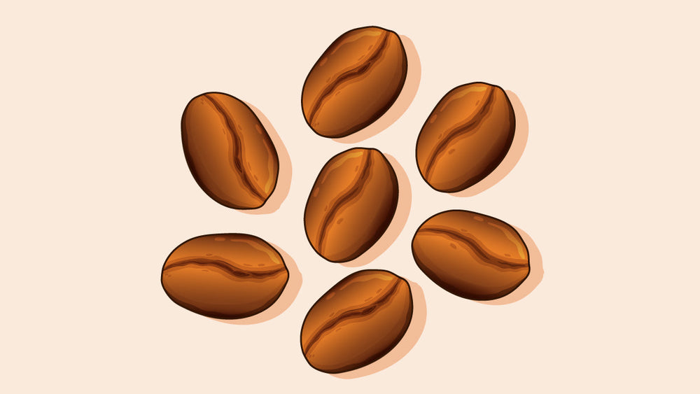 Roasted coffee beans scattered