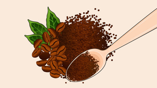Roasted coffee beans and green leaves alongside ground coffee powder