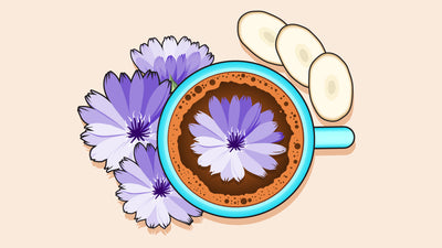 Chicory Root Coffee 101: Origins, Health Benefits, Brewing Tips, & More