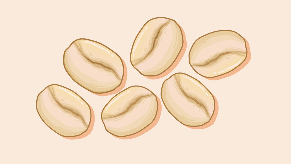 Six fresh, and ready-to-use white coffee beans.