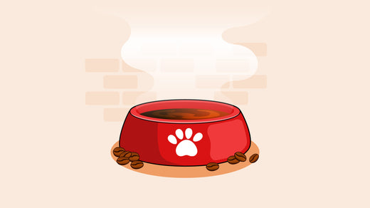 Red pet bowl filled with coffee, surrounded by coffee beans