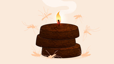 Does Burning Coffee Grounds Keep Mosquitoes Away?