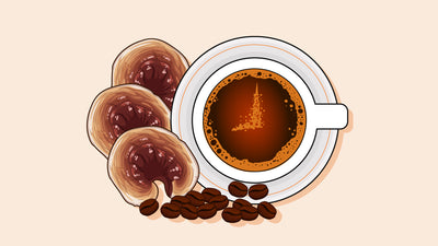 Does Mushroom Coffee Break a Fast? (Intermittent Fasting Tips)