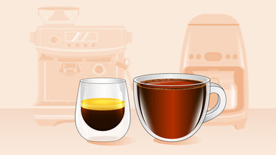 Espresso vs Drip Coffee: Which One Packs More Punch?