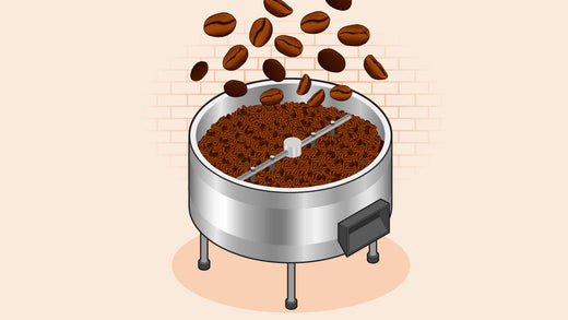 Illustration of coffee beans falling into a coffee roaster filled with freshly roasted grounds