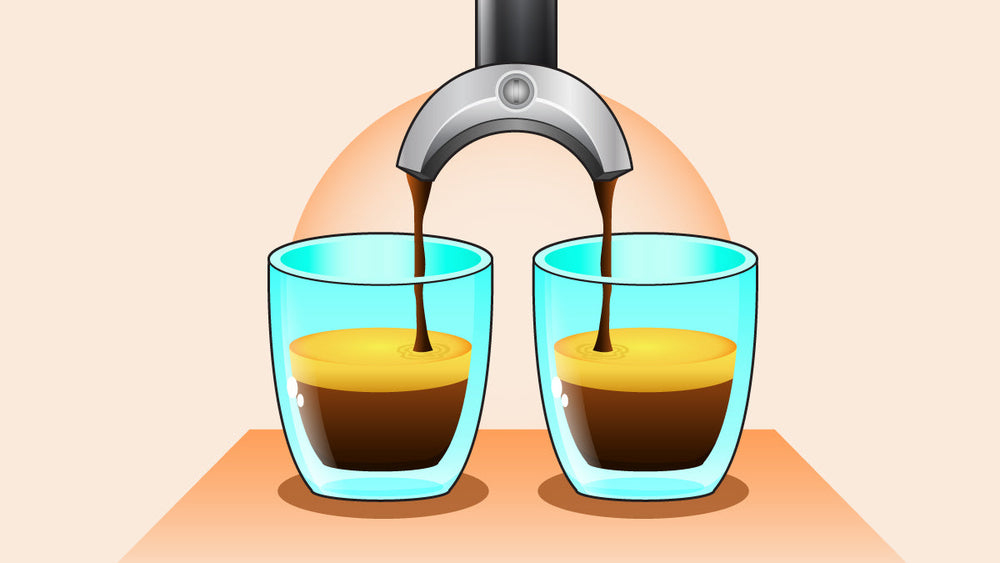 Espresso are being equally distributed to two cups.