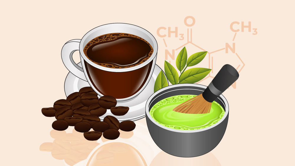 Cup of coffee with beans next to a bowl of matcha, bamboo whisk, tea leaves, and caffeine molecule.