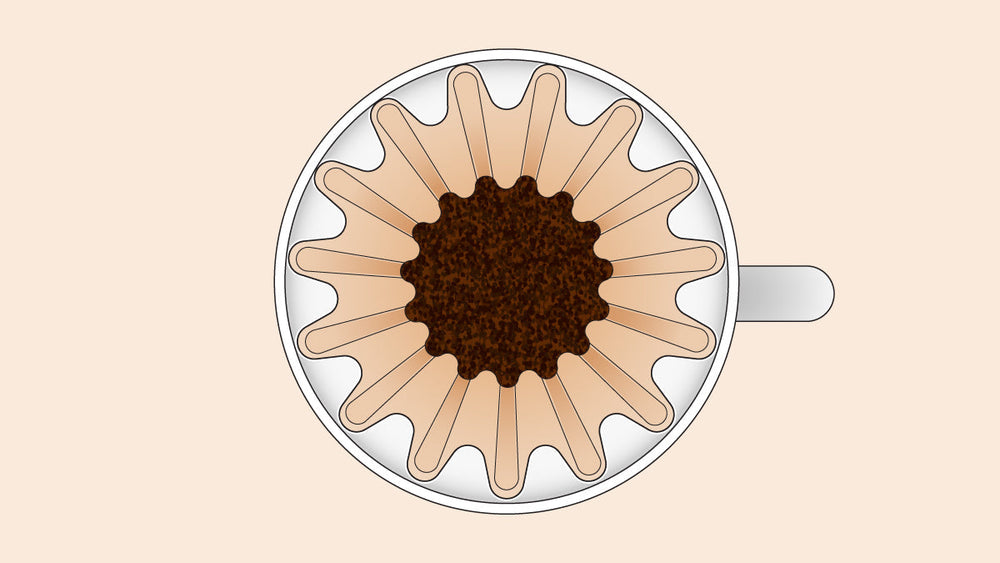Top view of a coffee dripper with a fluted paper filter filled with ground coffee.