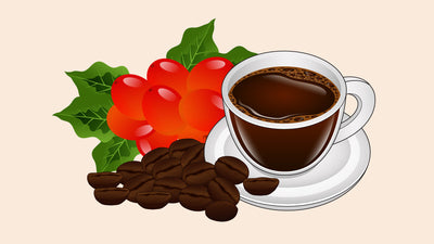 Where Is Coffee Grown: Discover Top Growing Regions in 2025