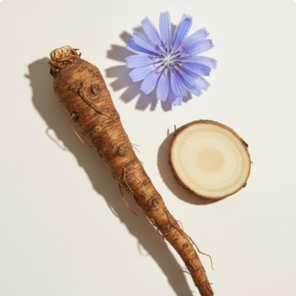 Chicory Inulin