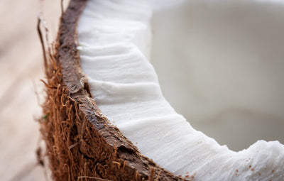 Coconut Milk
