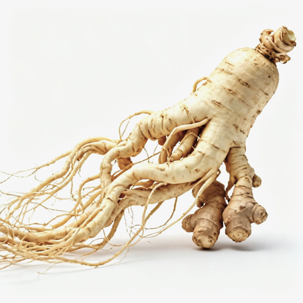 Korean Red Ginseng