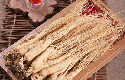 Korean Red Ginseng