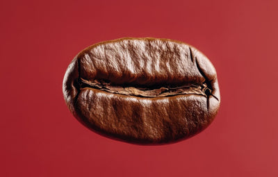 OG Coffee