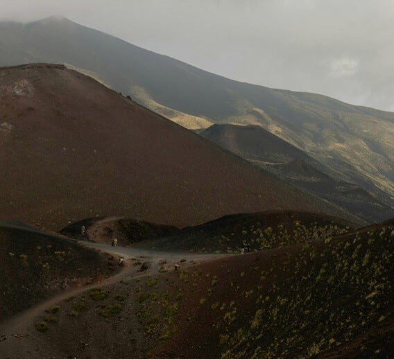 Stage 1: Origin 🌱