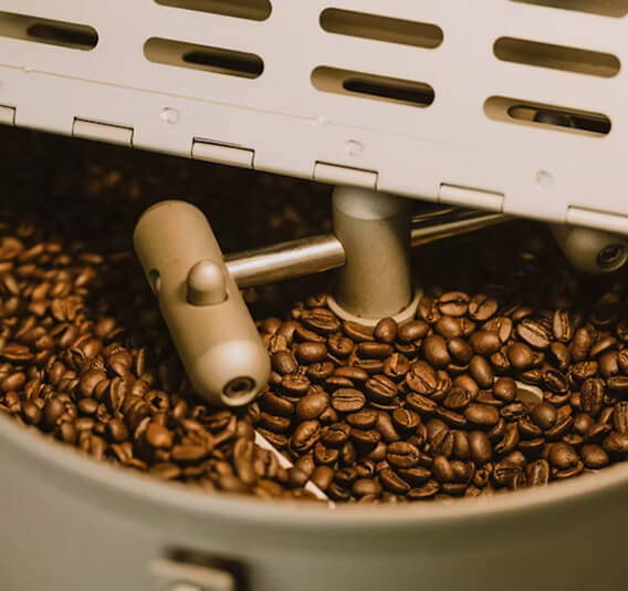 Stage 3: Sorting 🪵