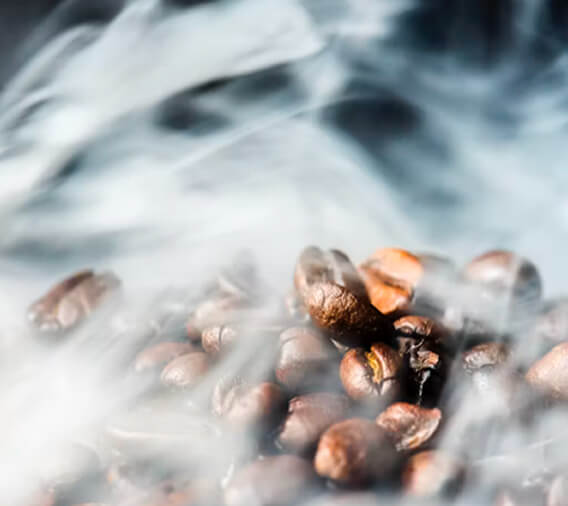 Stage 5: Roasting 🔥