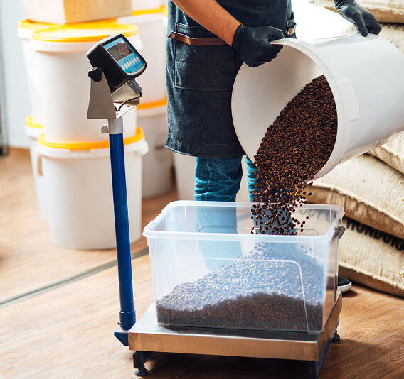 Stage 7: Delivery ⚡